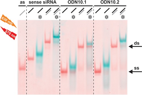 Figure 5.