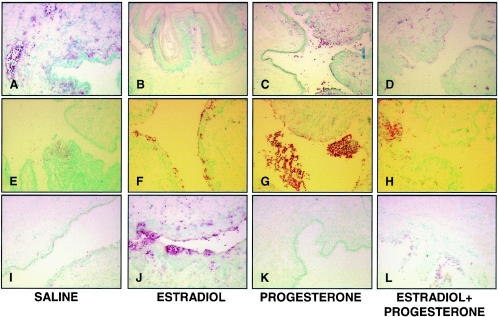 FIG. 7.