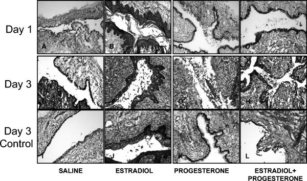 FIG. 5.