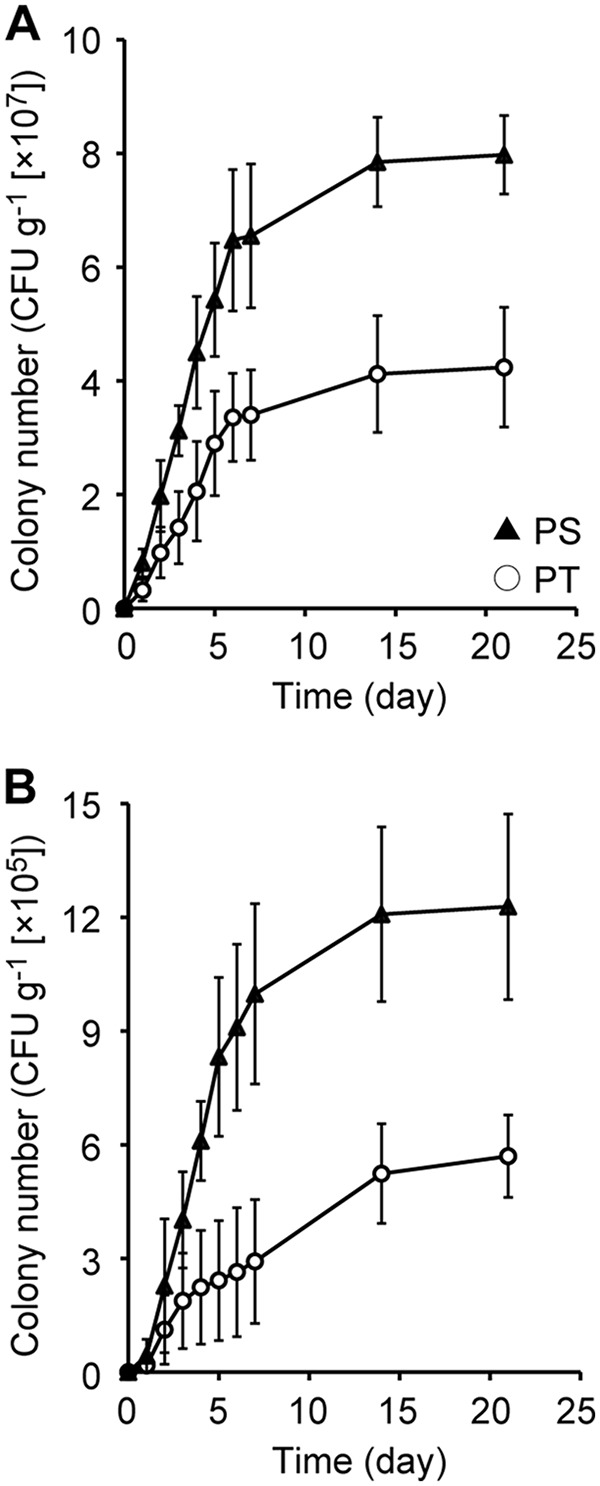 FIG 1