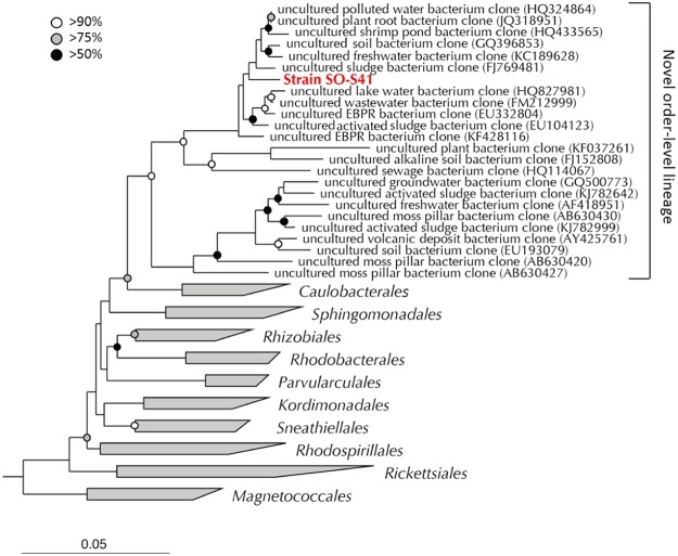 FIG 3