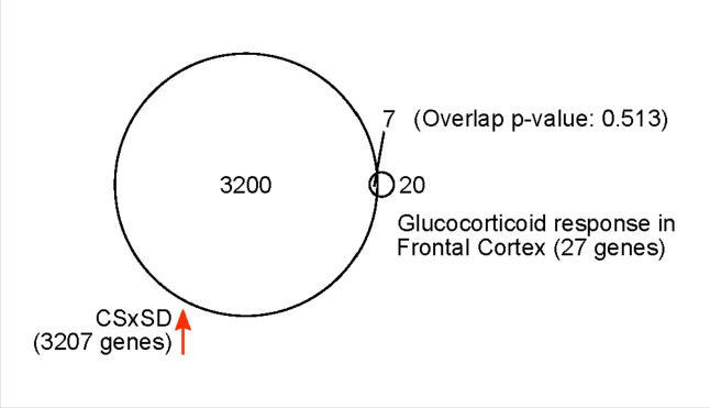 Figure 1—figure supplement 1.