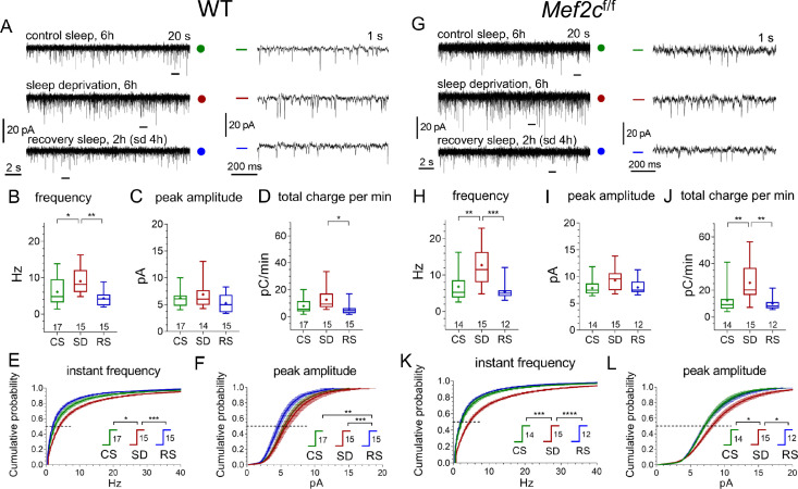 Figure 6—figure supplement 1.