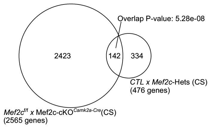 Figure 8—figure supplement 2.