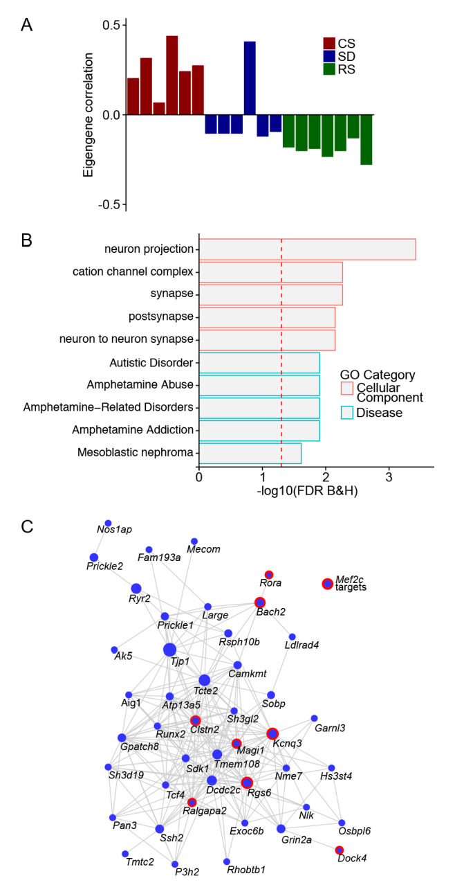 Figure 2—figure supplement 1.