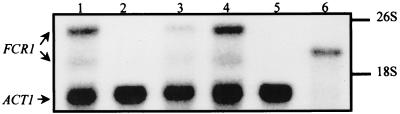 FIG. 7