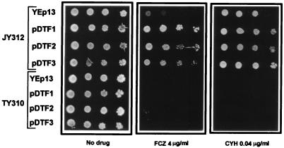 FIG. 3