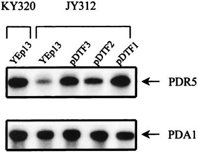 FIG. 2