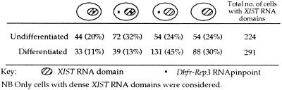 graphic file with name pq11912450t1.jpg