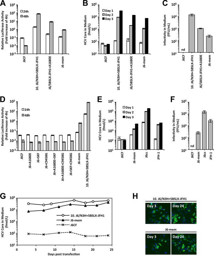 FIG 6