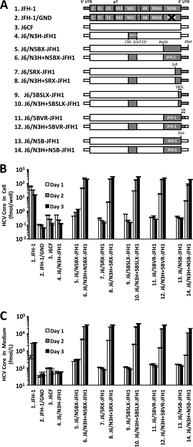 FIG 2