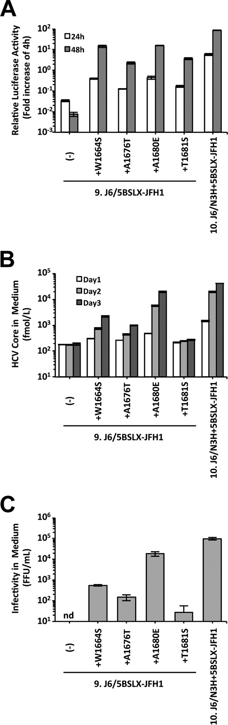 FIG 4