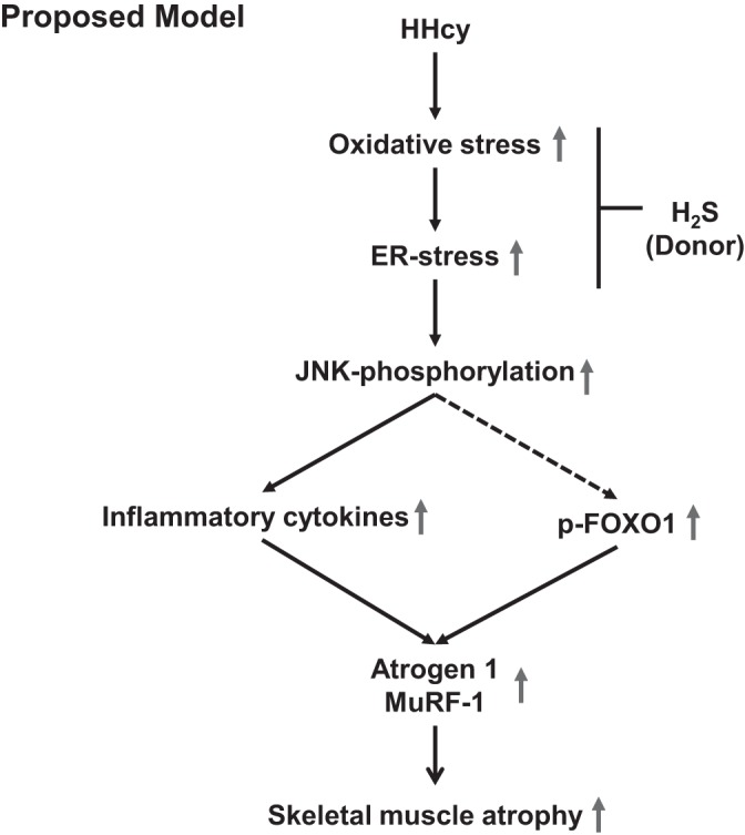 Fig. 8.