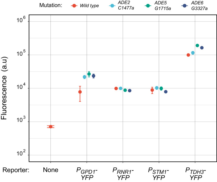 Figure 2—figure supplement 4.