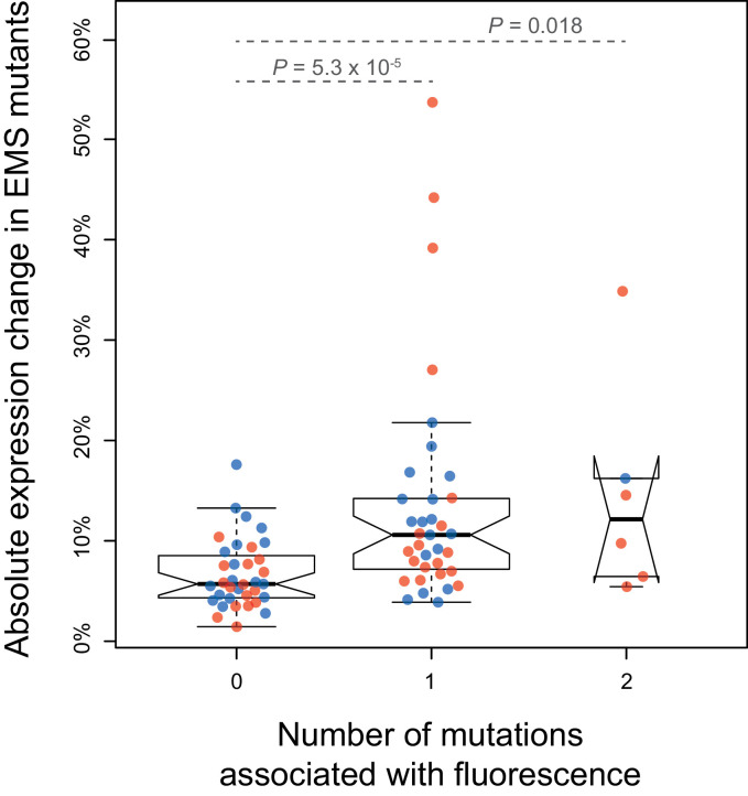 Figure 2—figure supplement 2.