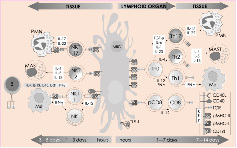 Figure 2