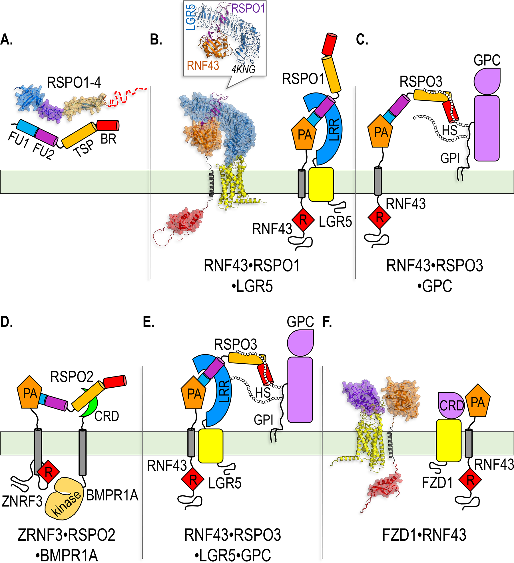 Figure 5.