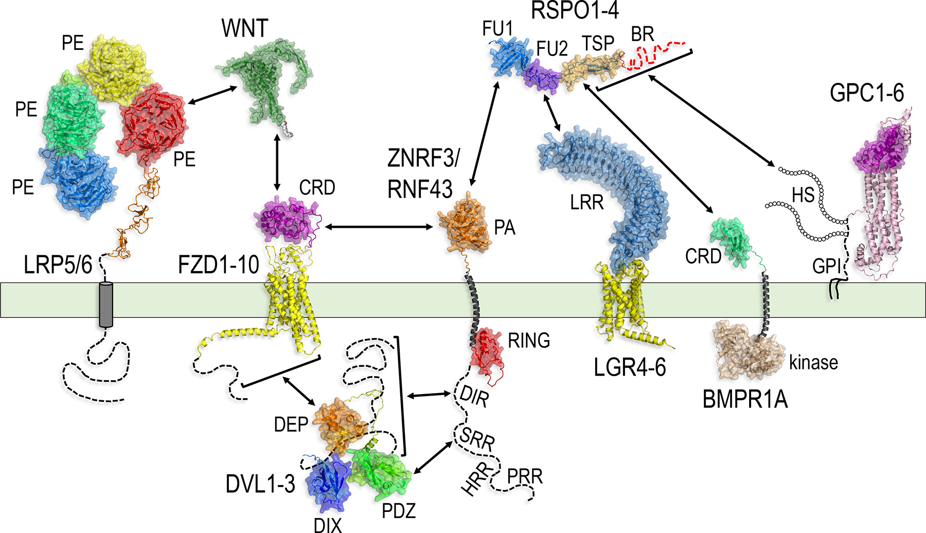 Figure 4.