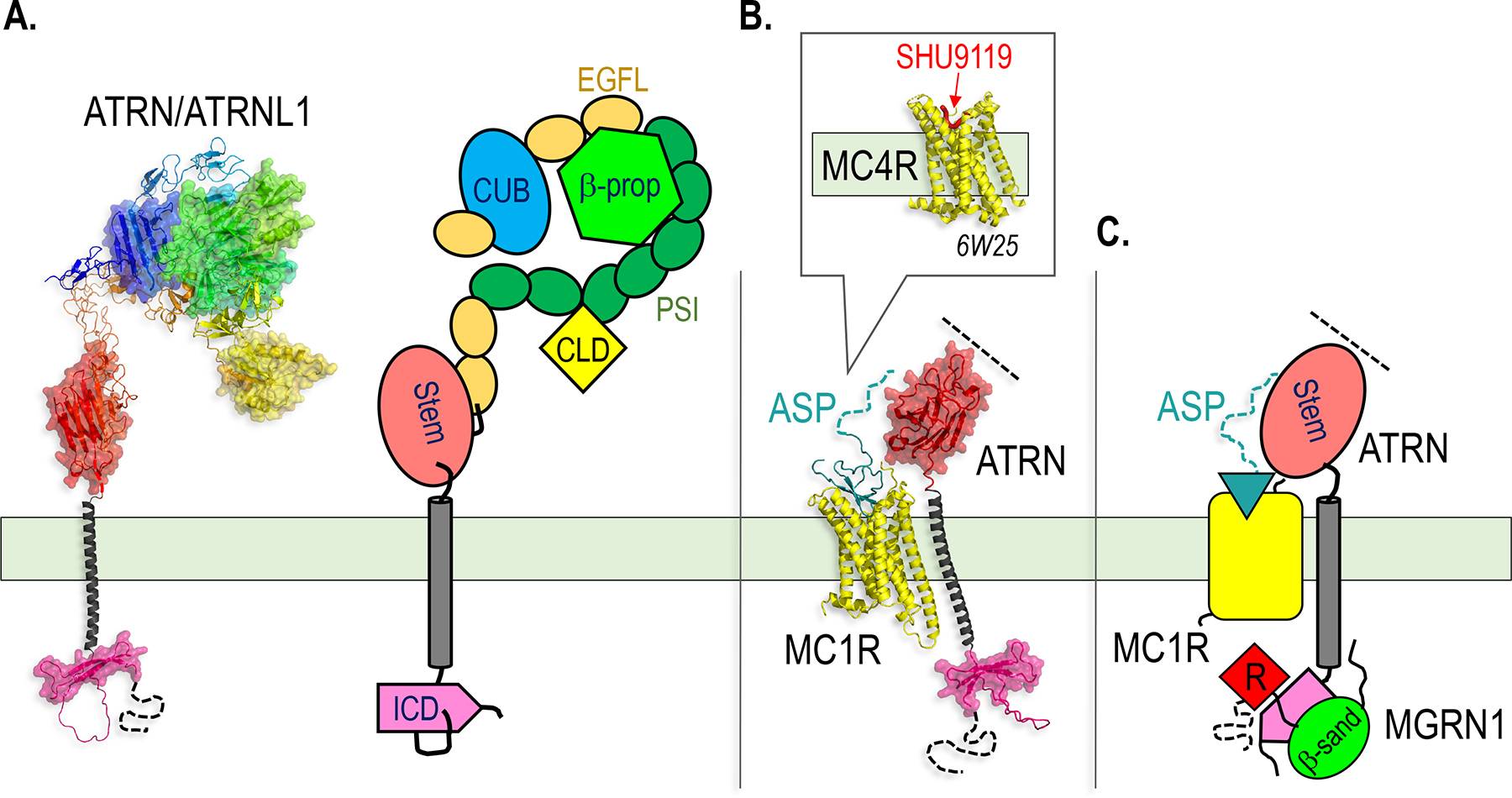 Figure 7.