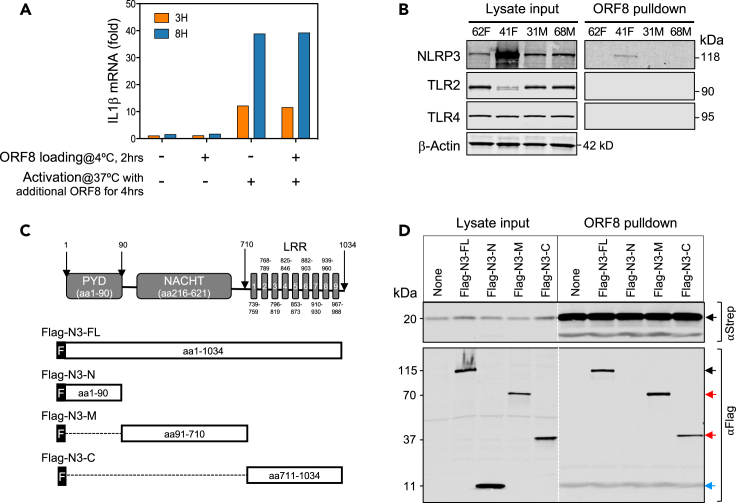 Figure 4