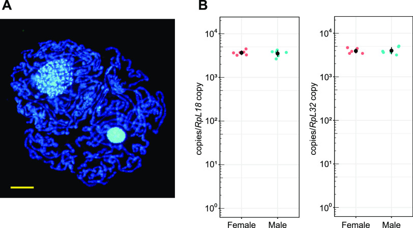 FIG 1