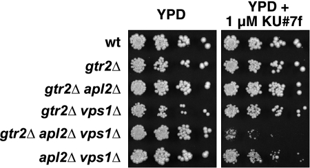 FIG. 9.