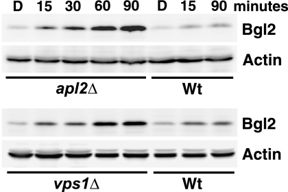 FIG. 3.