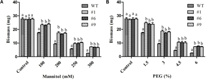 FIGURE 4