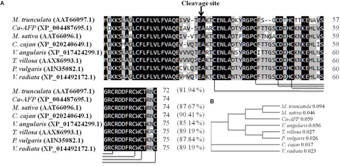 FIGURE 1