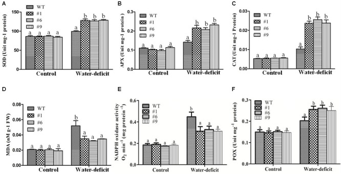 FIGURE 7