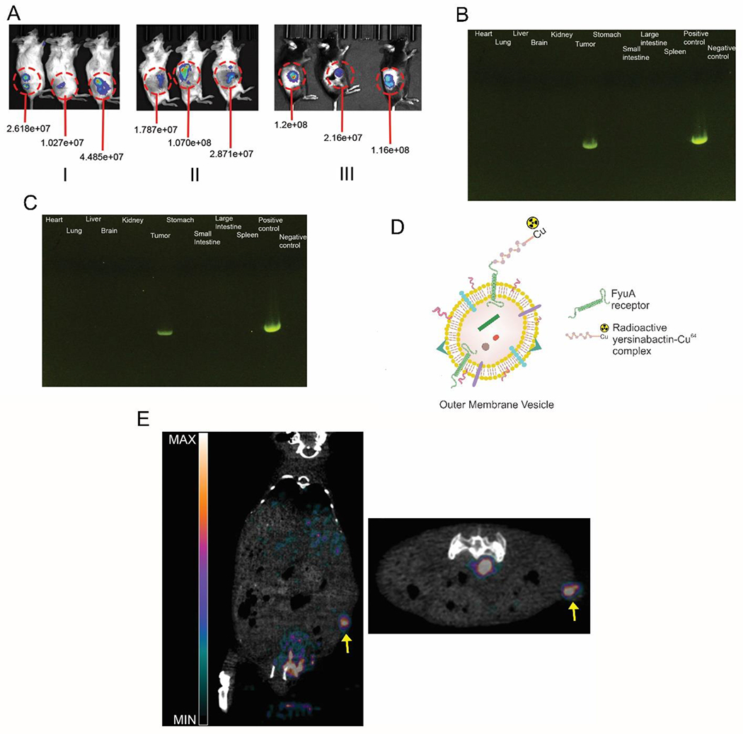 Figure 4: