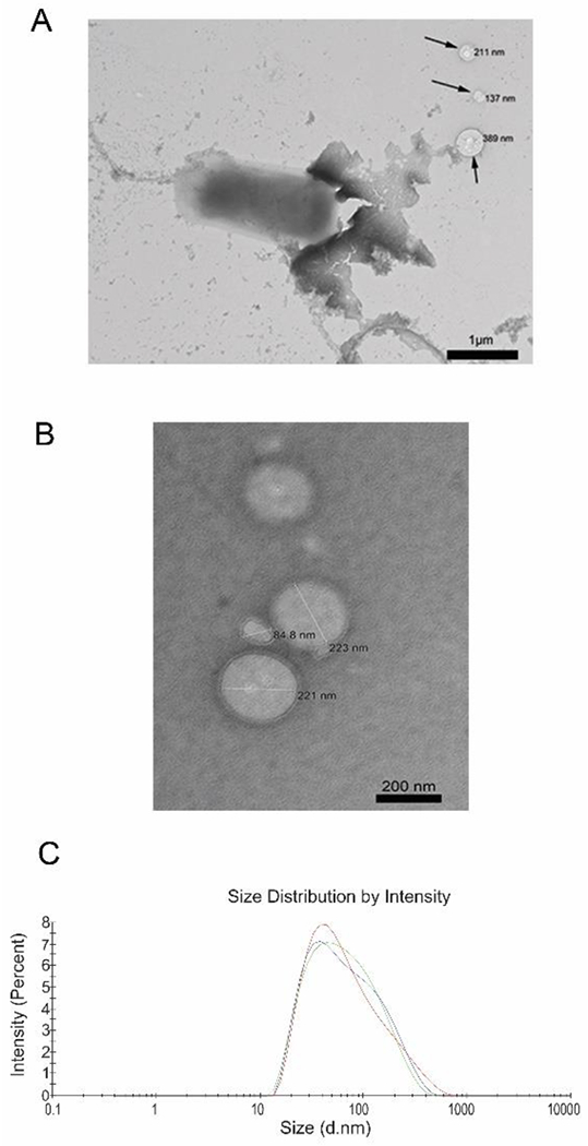 Figure 2: