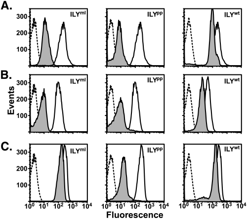 FIGURE 2.