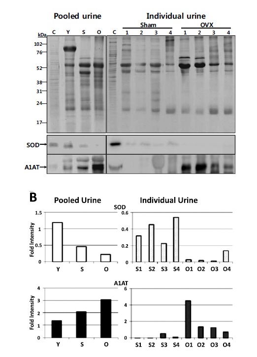 Fig. (3)