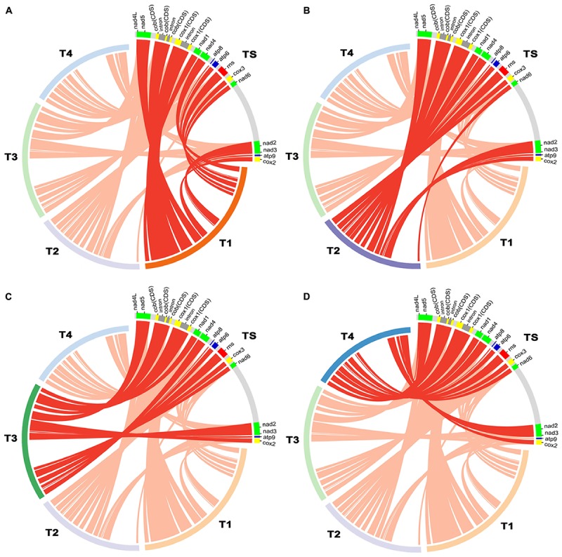 FIGURE 3