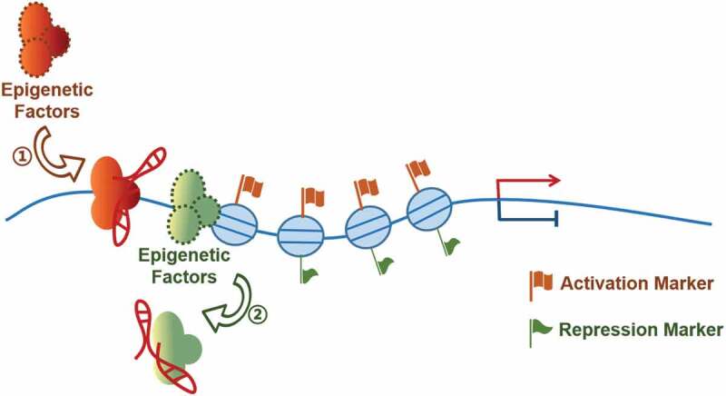 Figure 2.