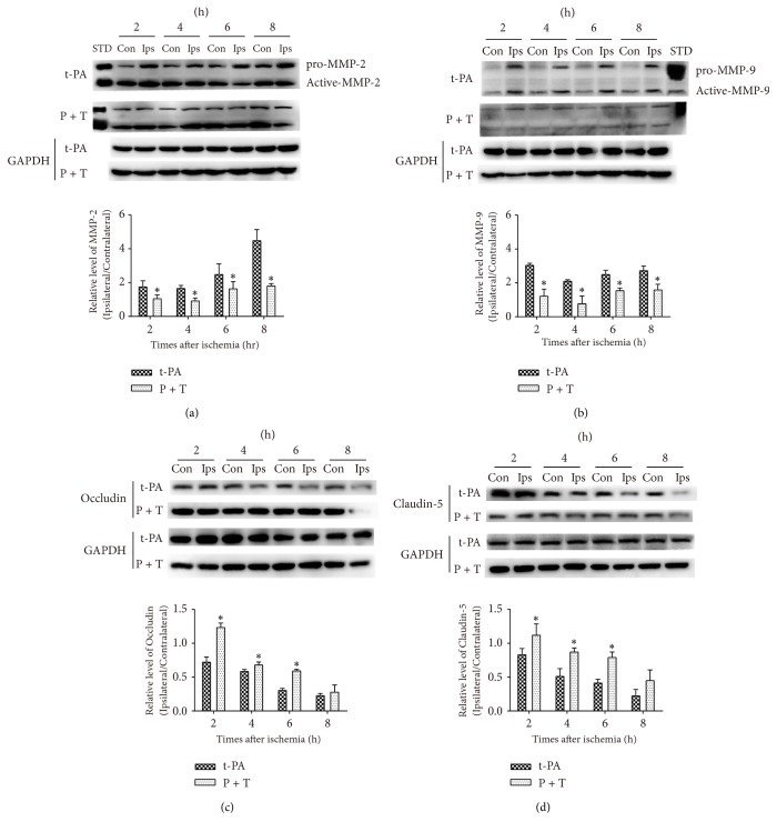 Figure 5