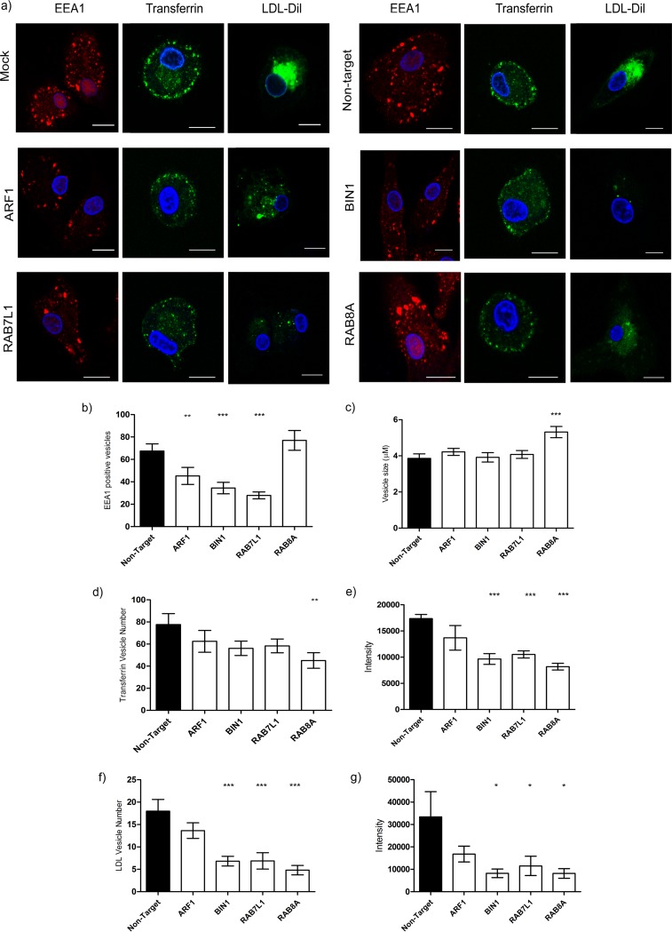 FIG 6