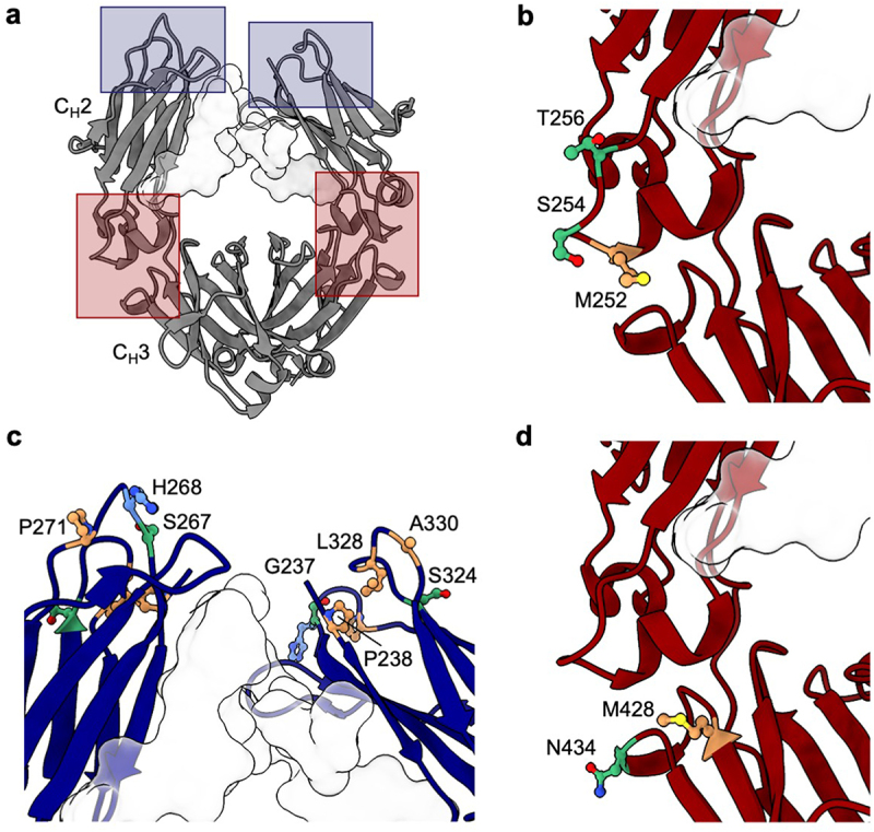 Figure 3.