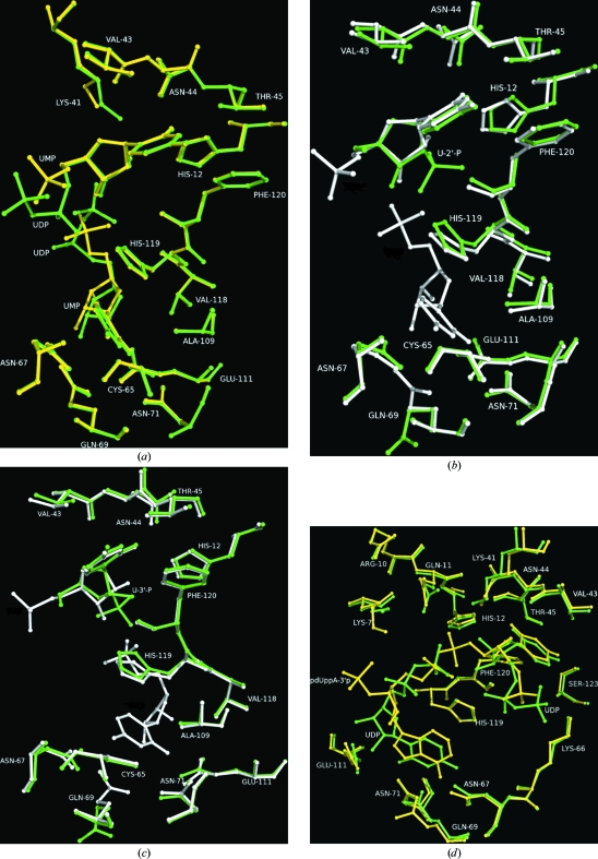 Figure 4