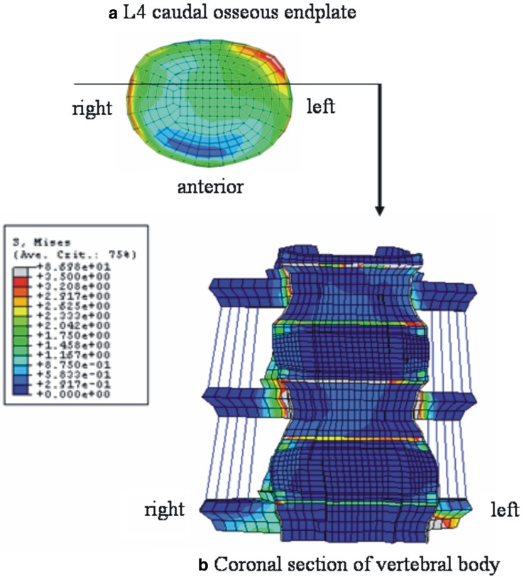 Fig. 7