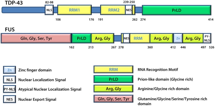 FIGURE 3