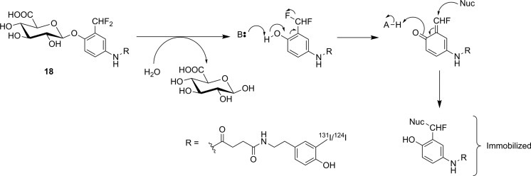 Figure 16.