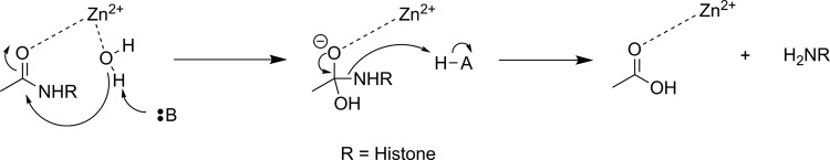 Figure 22.