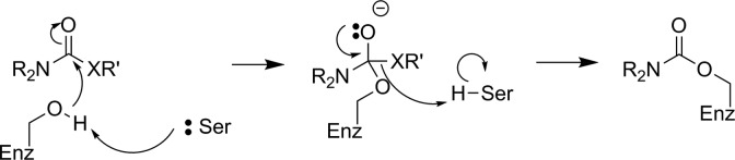 Figure 30.