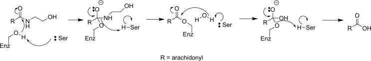 Figure 28.