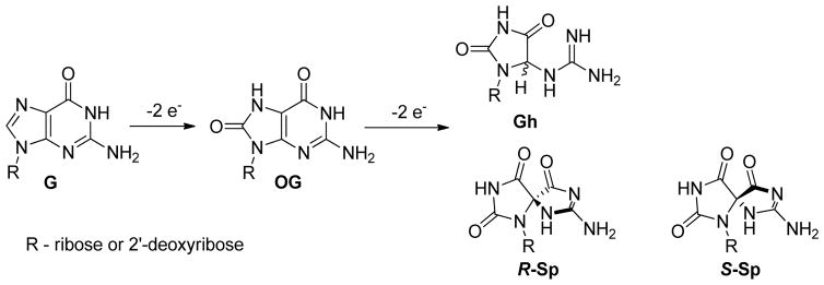 Scheme 1