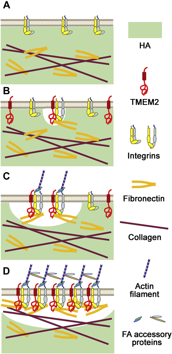 Figure 6