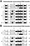 FIG. 6