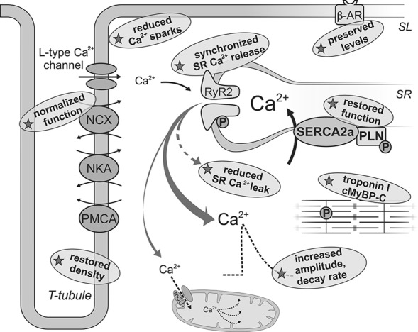 FIG. 6.